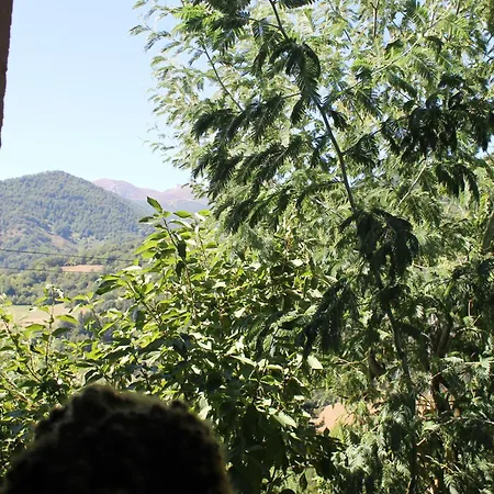 Casa rural Casona De Treviño *