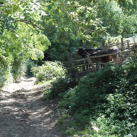 Casona De Treviño Cosgaya
