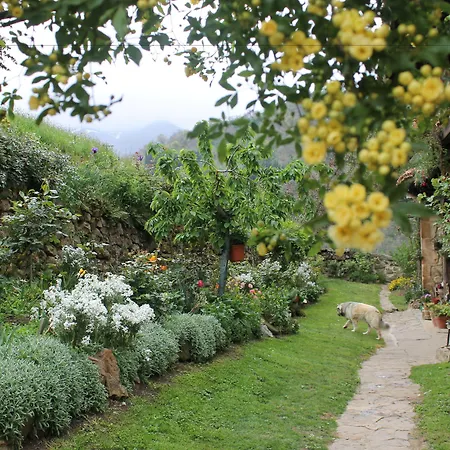 Casona De Treviño Casa rural