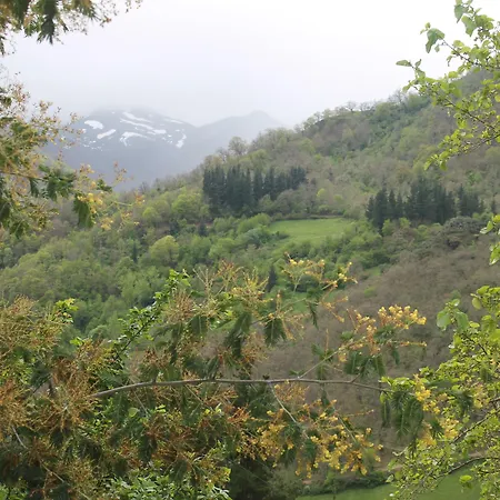 Casona De Treviño Cosgaya