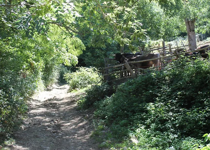 Casona De Trevino Cosgaya